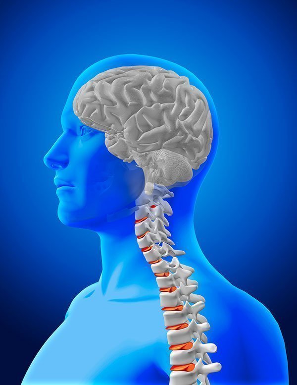 DOCTORADO EN NEUROCIENCIA APLICADA Y COMPORTAMIENTO