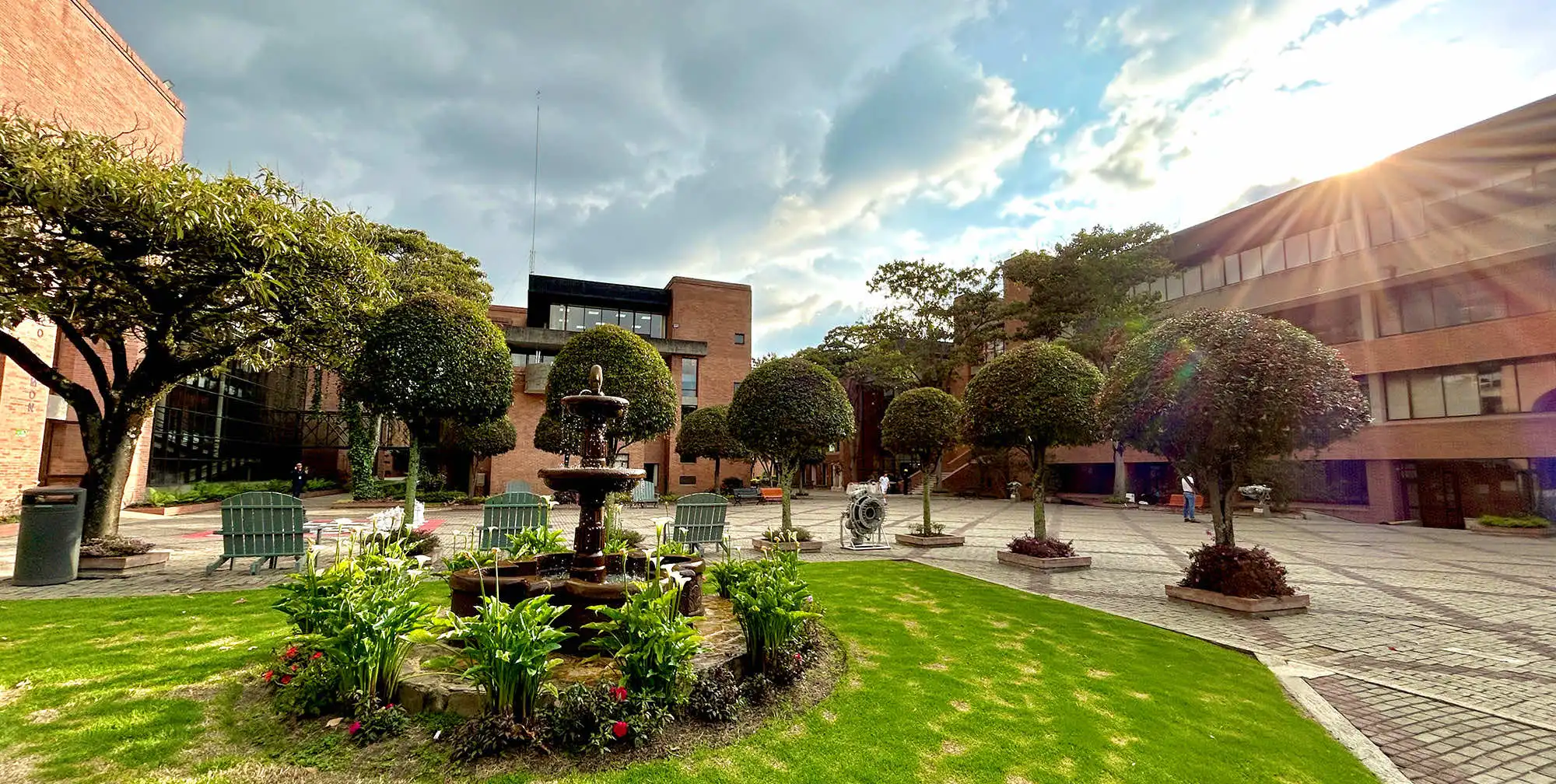 La Universidad